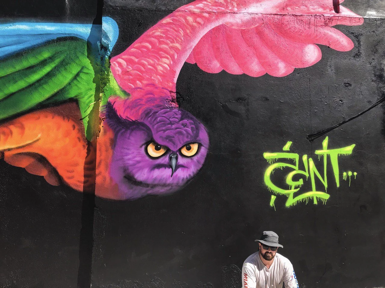 A colorful mural featuring an owl with purple feathers and striking yellow eyes, with a body of bright pink and orange, and green leaves on the side, with the text 'GNT' in bright green graffiti style next to a man wearing a gray hat and sunglasses.