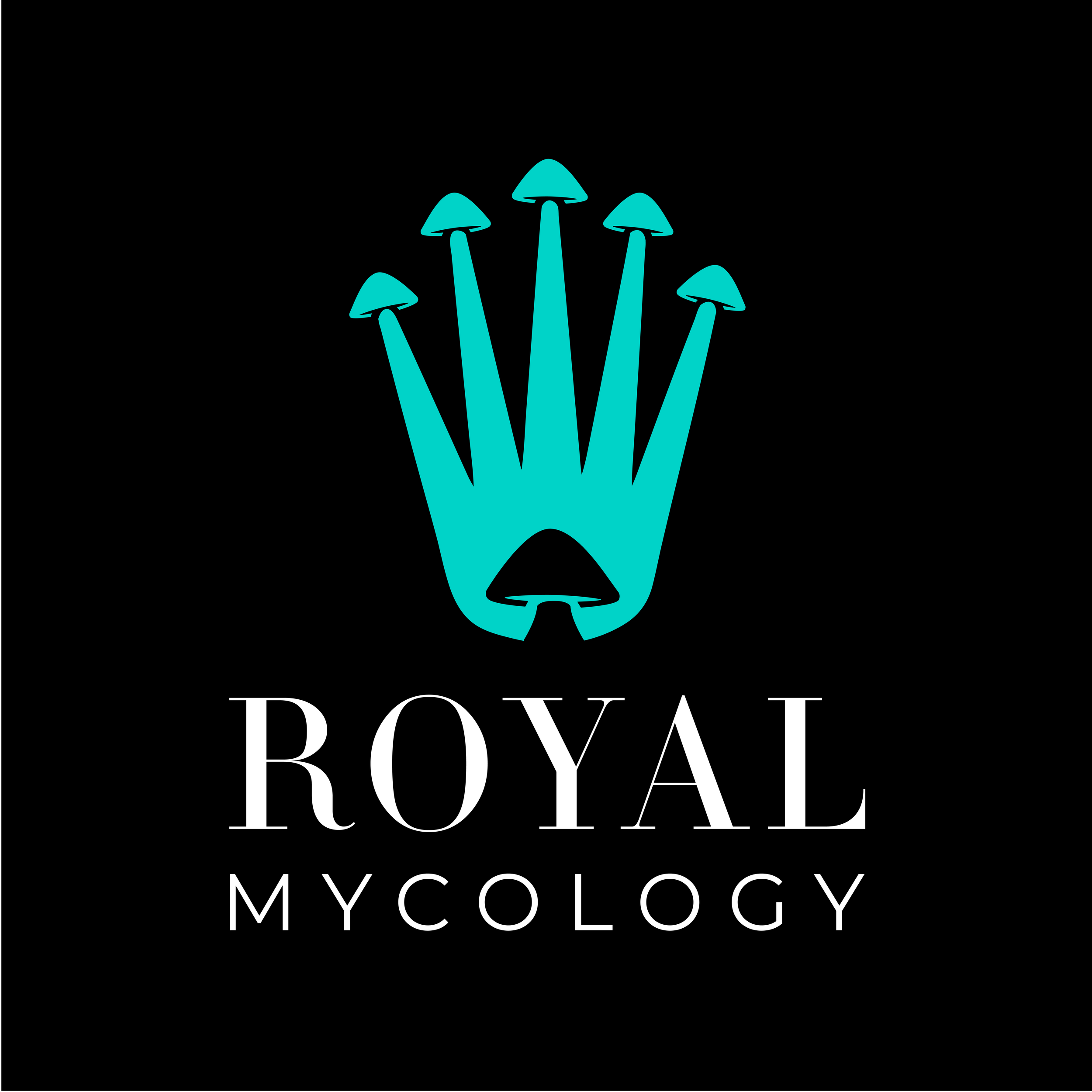 Logo with a stylized turquoise crown or plant with elongated downward-pointing shapes on a black background, and the words "ROYAL MYCOLOGY" in white capital letters below.