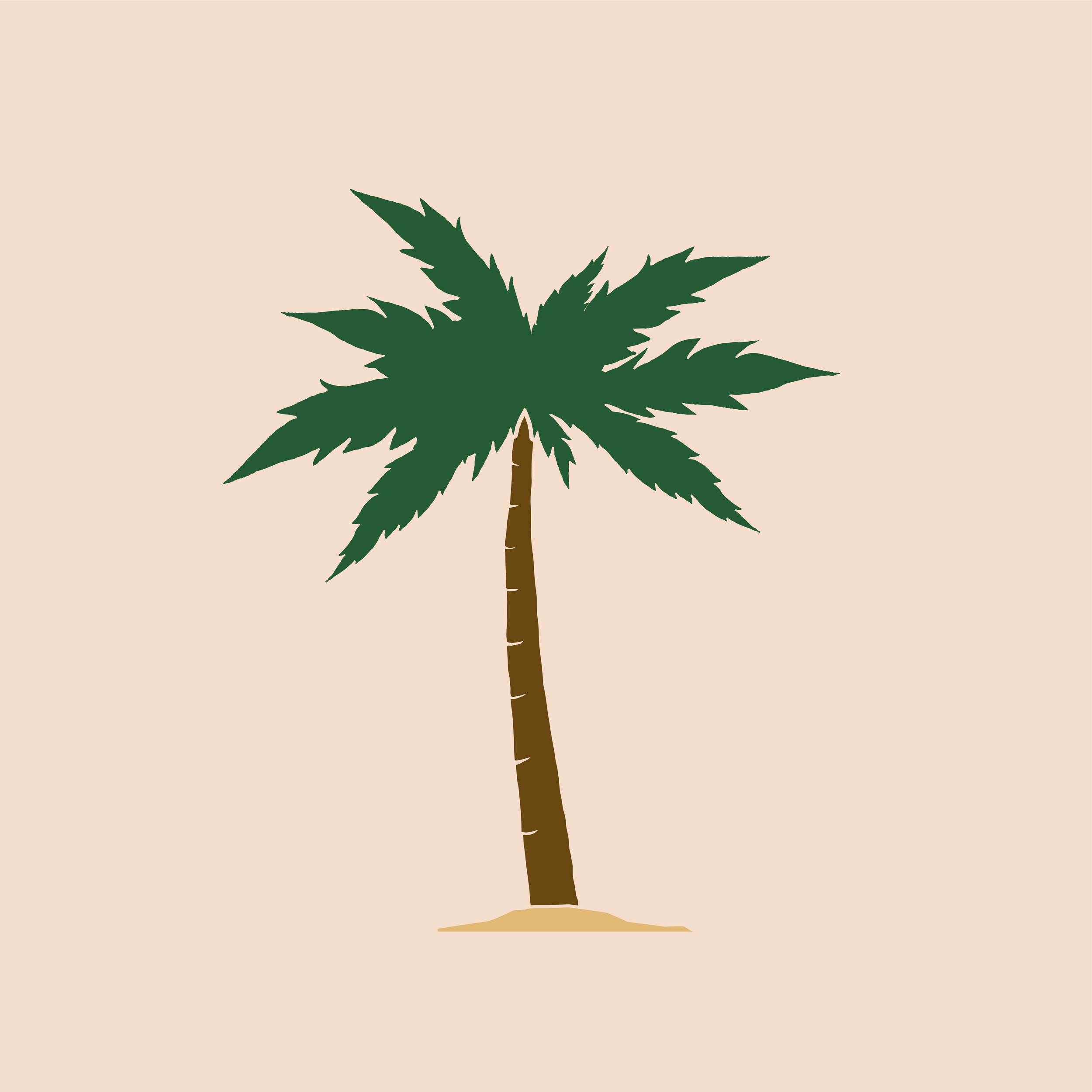 Illustration of a palm tree with green leaves, a brown trunk, on a sandy ground against a light beige background.
