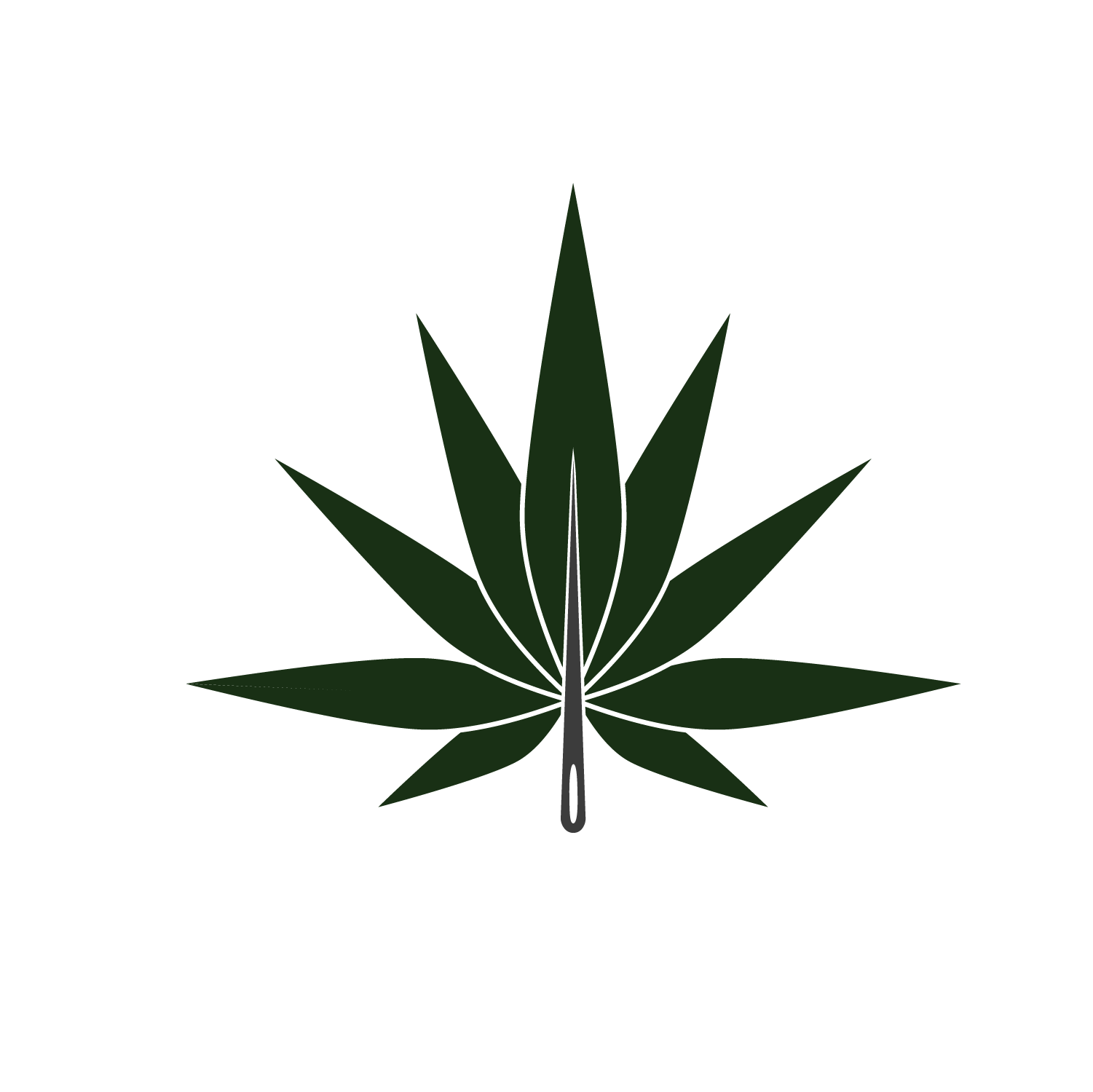 A stylized green marijuana leaf with the text "Support Your Local Dealer" in bold black letters above it.