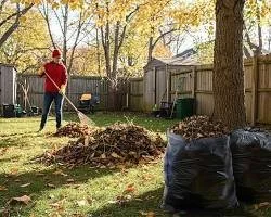 A person raking leaves in a backyard, with piles of leaves and black garbage bags nearby, surrounded by trees and a wooden fence.