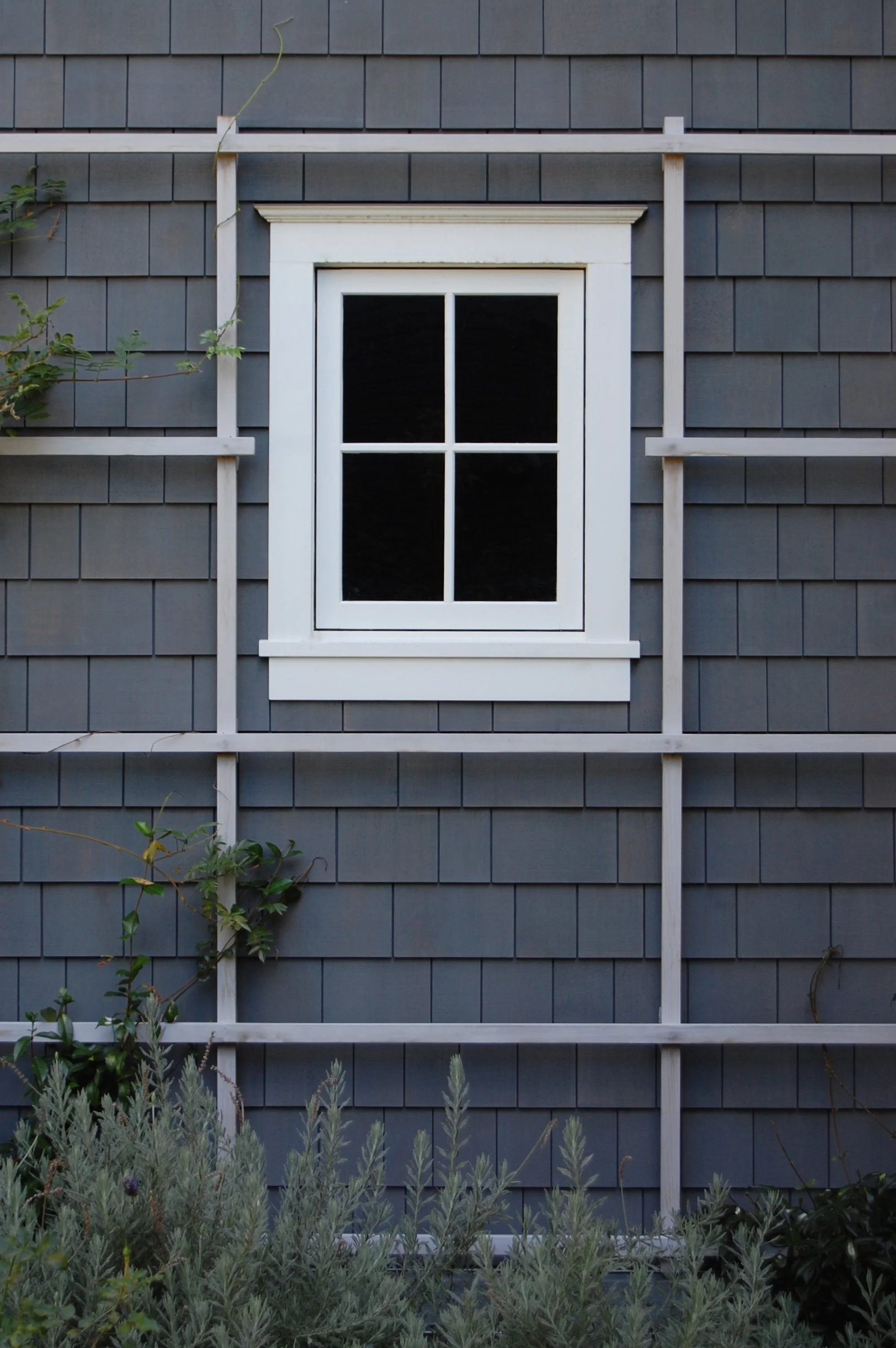 E09 Exterior Detail - Trellis.jpg