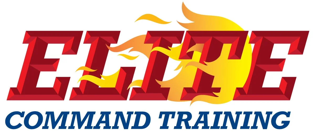 ECT Logo.jpg
