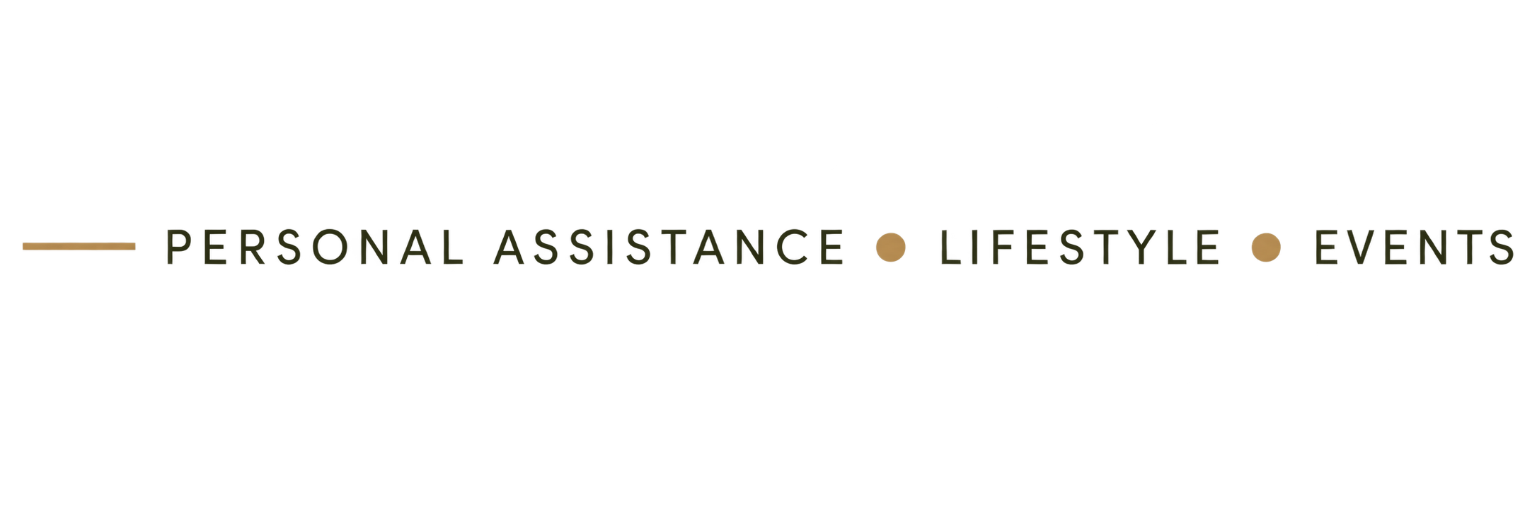 Logo with the words Personal Assistance Lifestyle Events, with yellow and red accents.