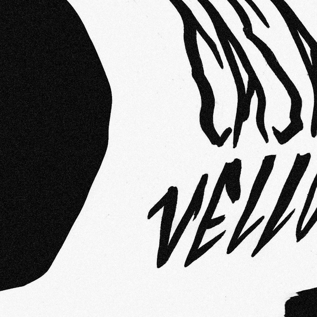 Close-up of a black and white graphic with partially visible, stylized text.