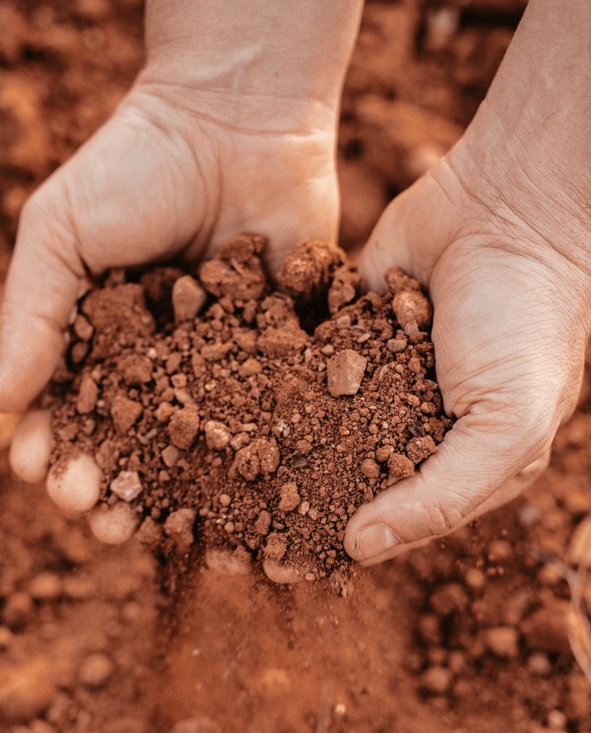 Close-up of hands holding reddish-brown soil with small rocks.