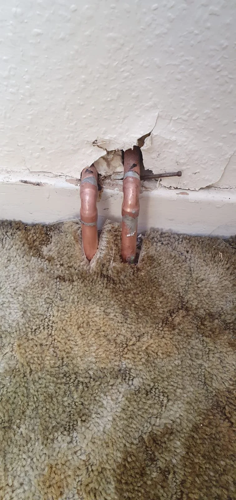 Exposed copper pipes protruding through damaged drywall above a stained carpeted floor