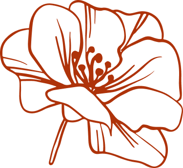 Outline drawing of a flower with petals and a butterfly resting on one of the petals.