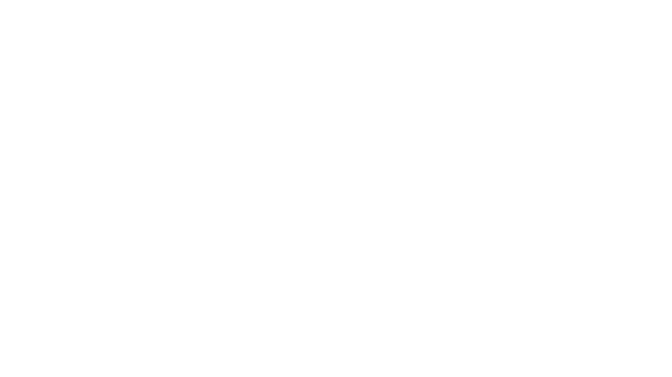 Lone Star Dent Repair
