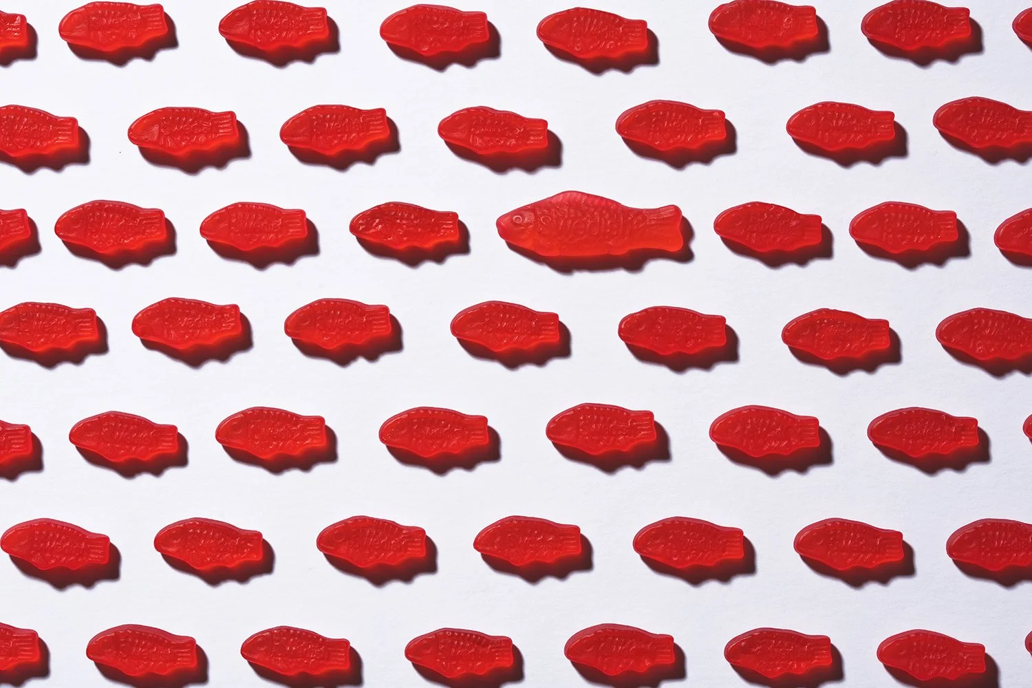 rsSFish1.jpg