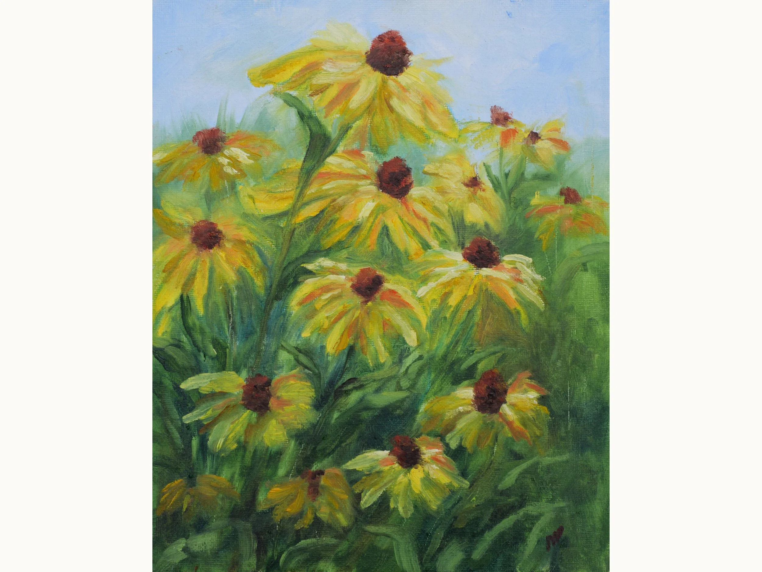 Black-Eyed Susans