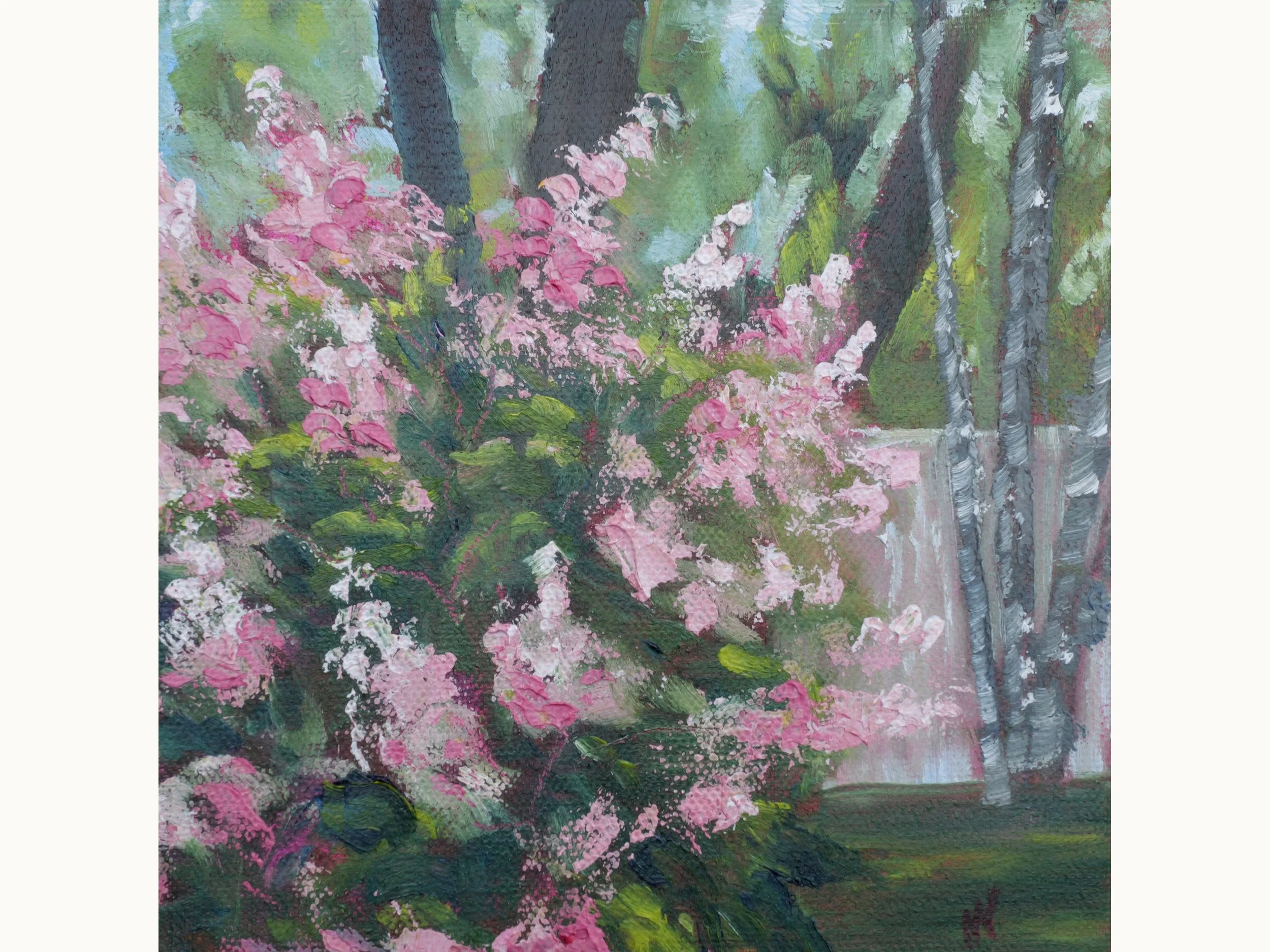 Backyard Hydrangeas