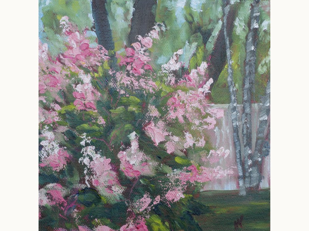 A small study of soft hydrangea blooms.