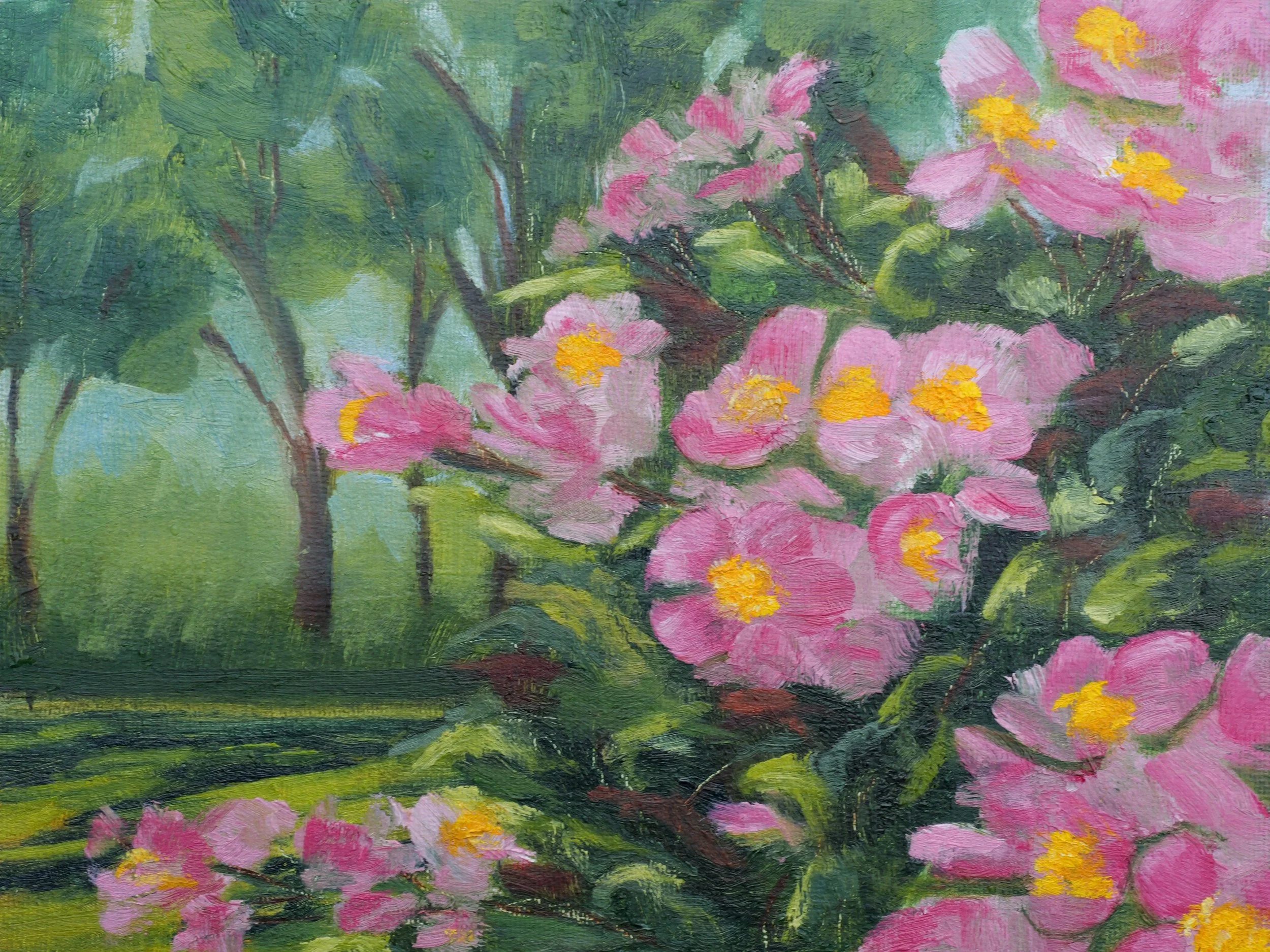 Pink Roses