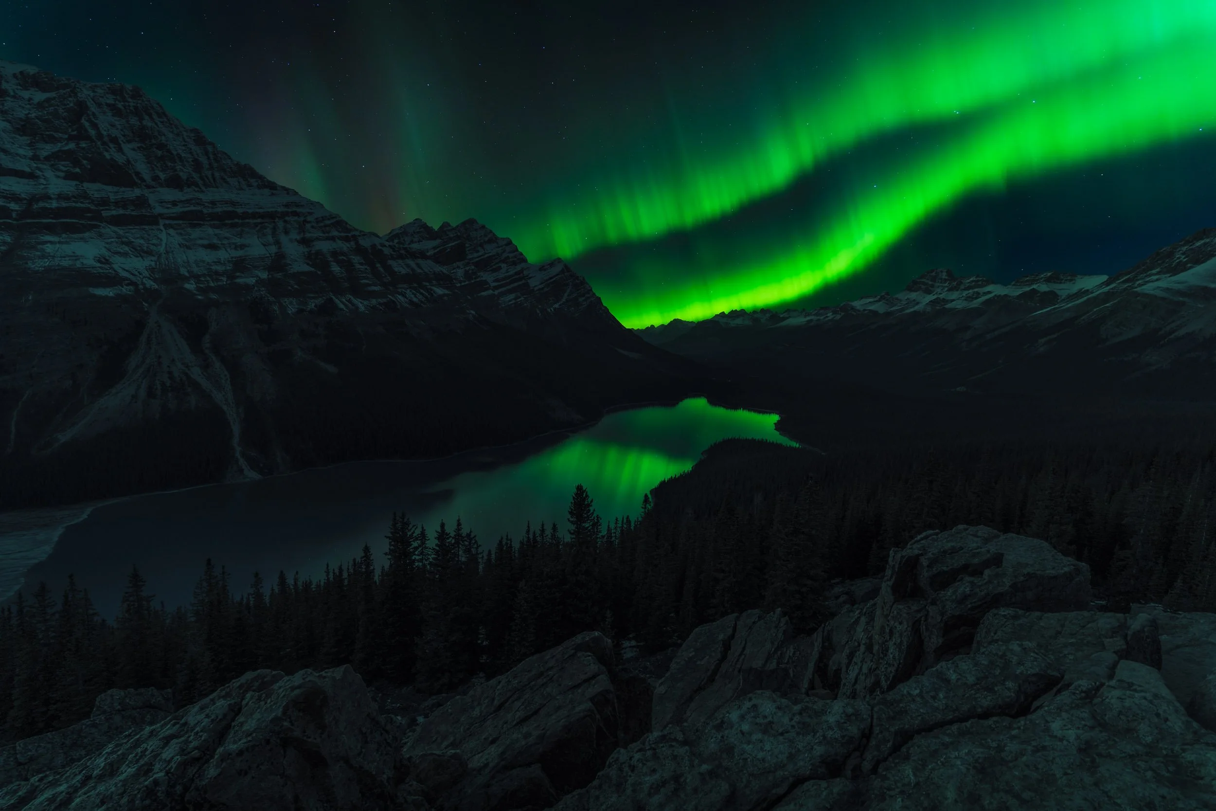 Northern lights glowing green over snowy mountain peaks and a lake, with a forest in the foreground at night.