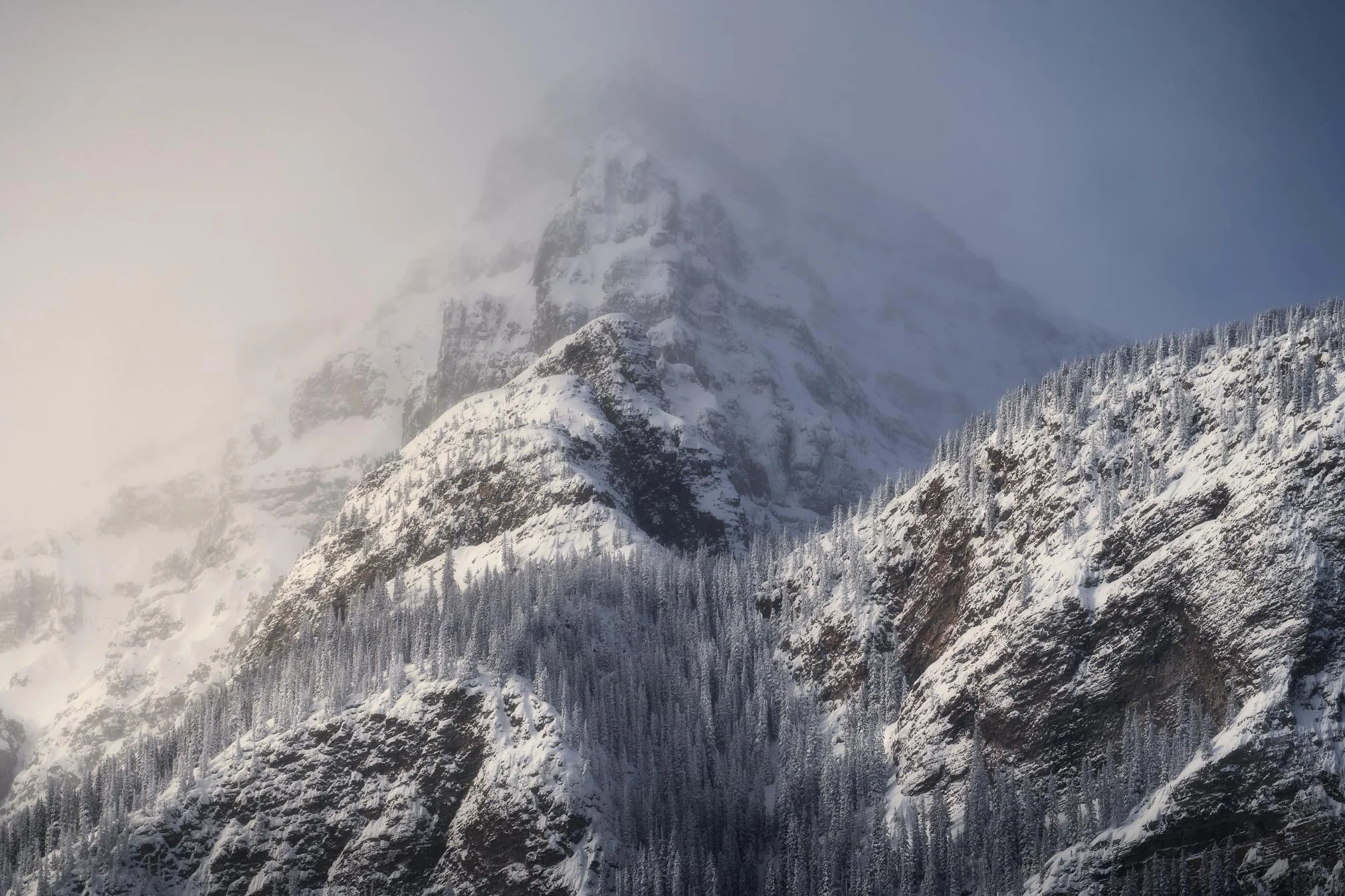 Snow-covered mountain peaks with a forest of evergreen trees at the base, partially obscured by mist or clouds.