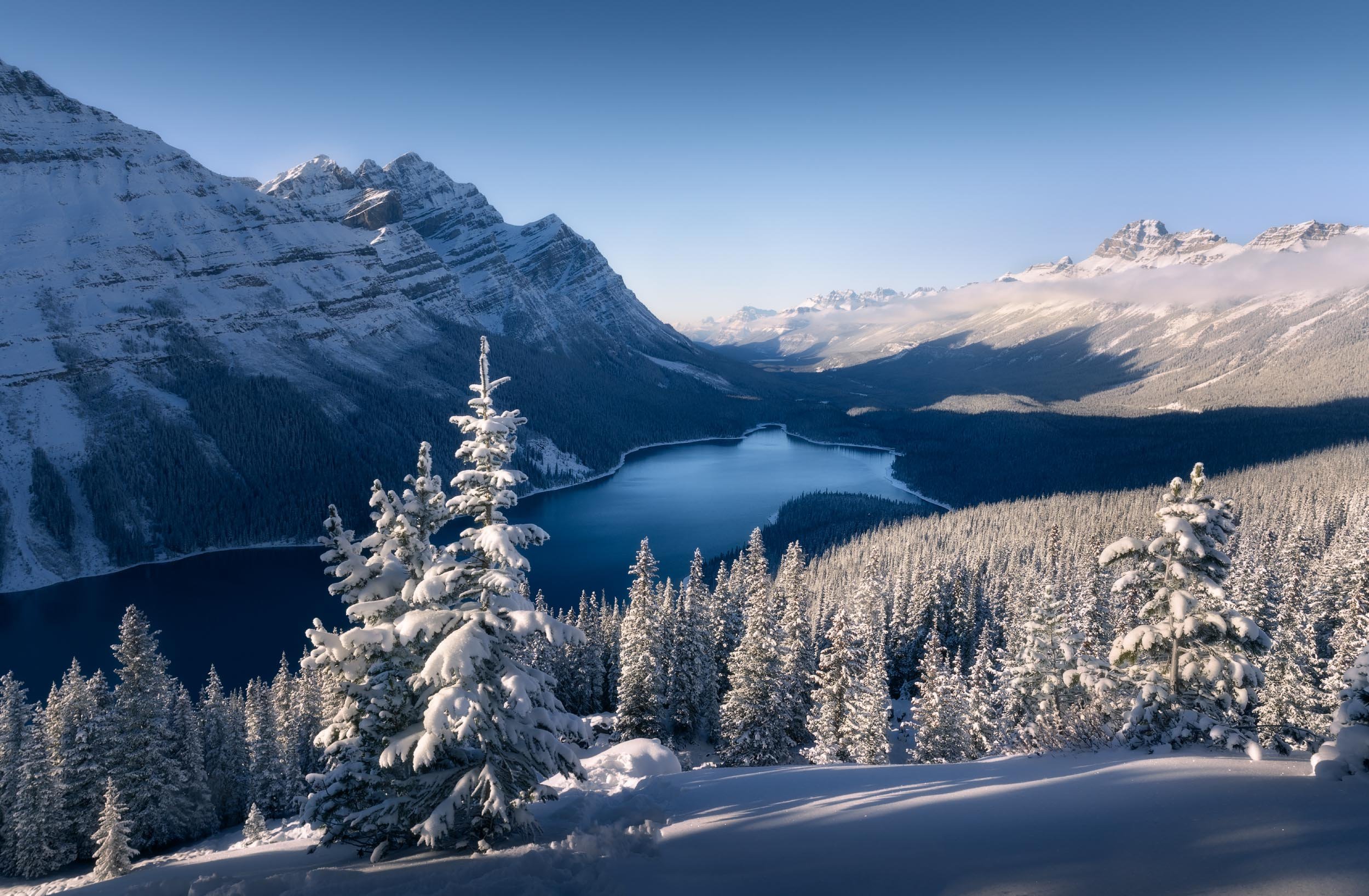 Snow-covered pine trees in the foreground with a mountain range and a frozen lake in the background under a clear blue sky.