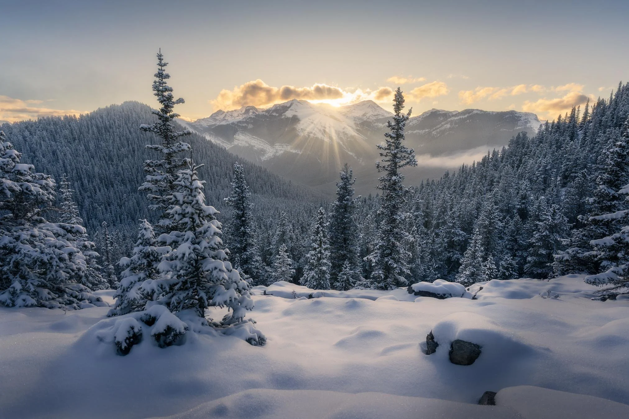 Snow-covered trees in a mountainous landscape at sunset, with the sun partially hidden behind clouds and mountain peaks in the background.