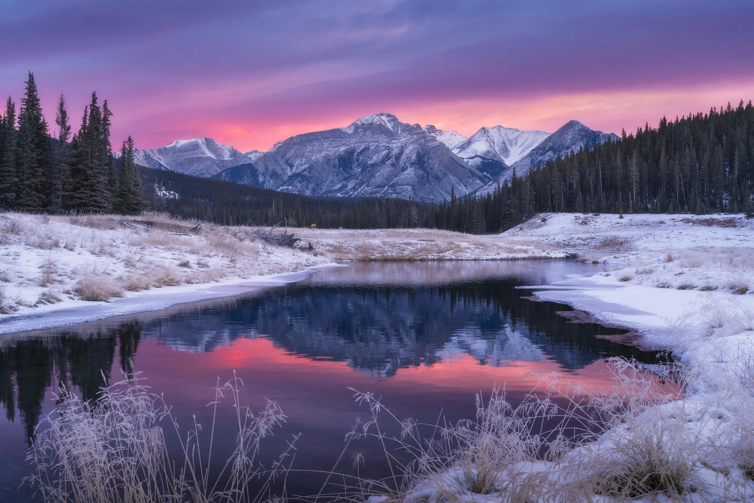 Snow-covered mountain range during sunset or sunrise with pink, purple, and blue sky, reflecting in a partially frozen river in the foreground, surrounded by snow and pine trees.