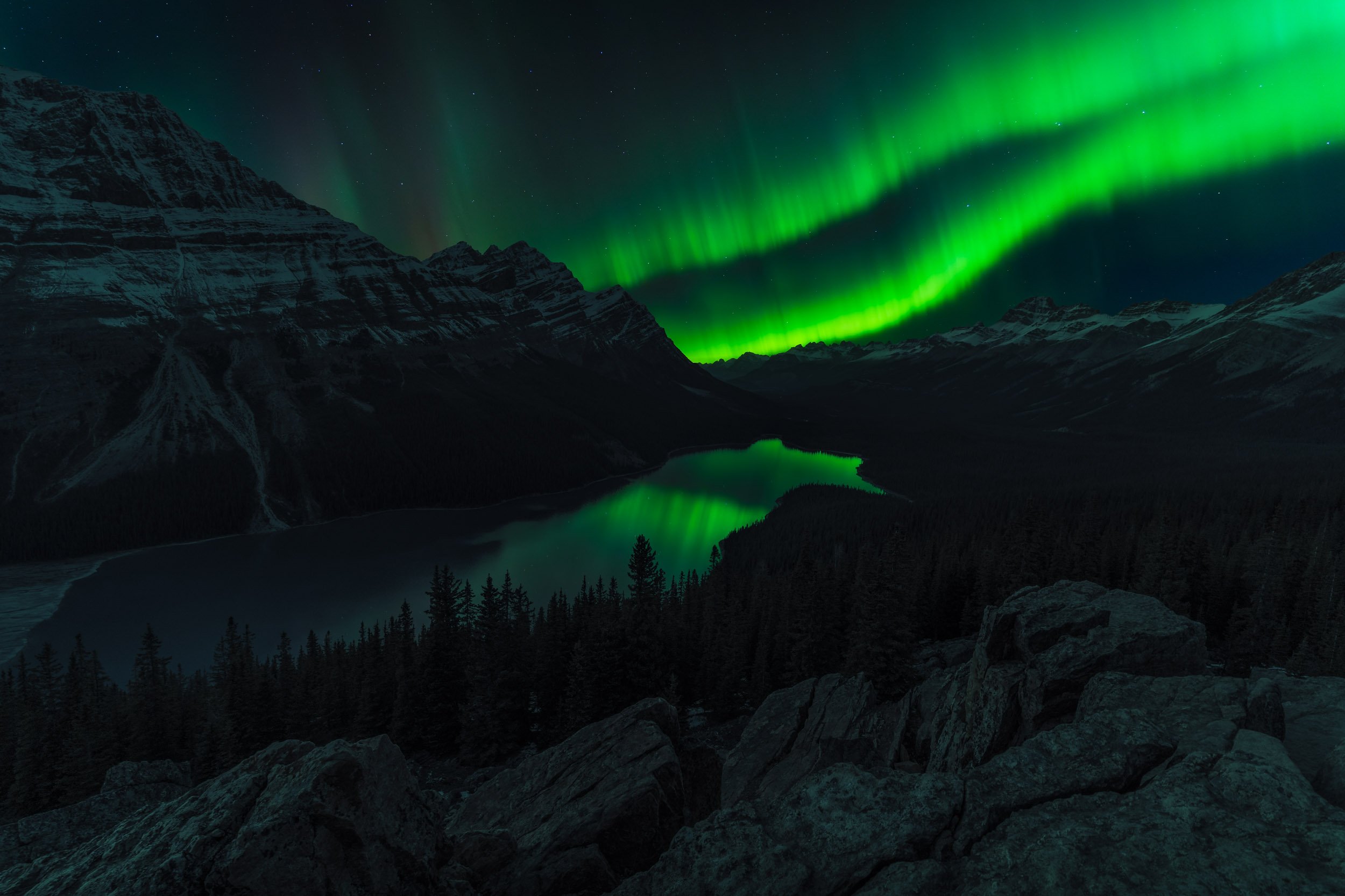 Nighttime scene of the Northern Lights illuminating green in the sky over snow-covered mountains and a reflective lake, with a foreground of rocky terrain and pine trees.