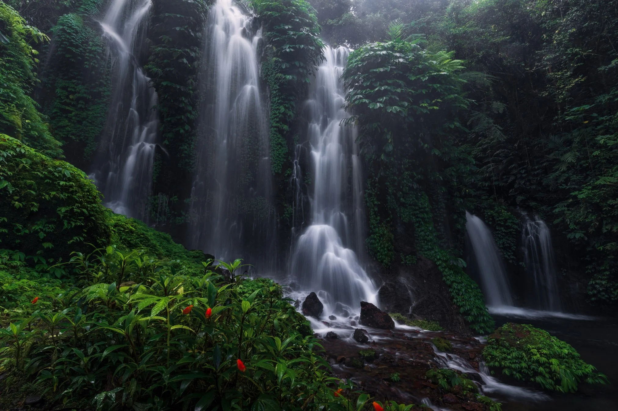 A waterfall cascading down a cliff surrounded by lush green foliage in a jungle.