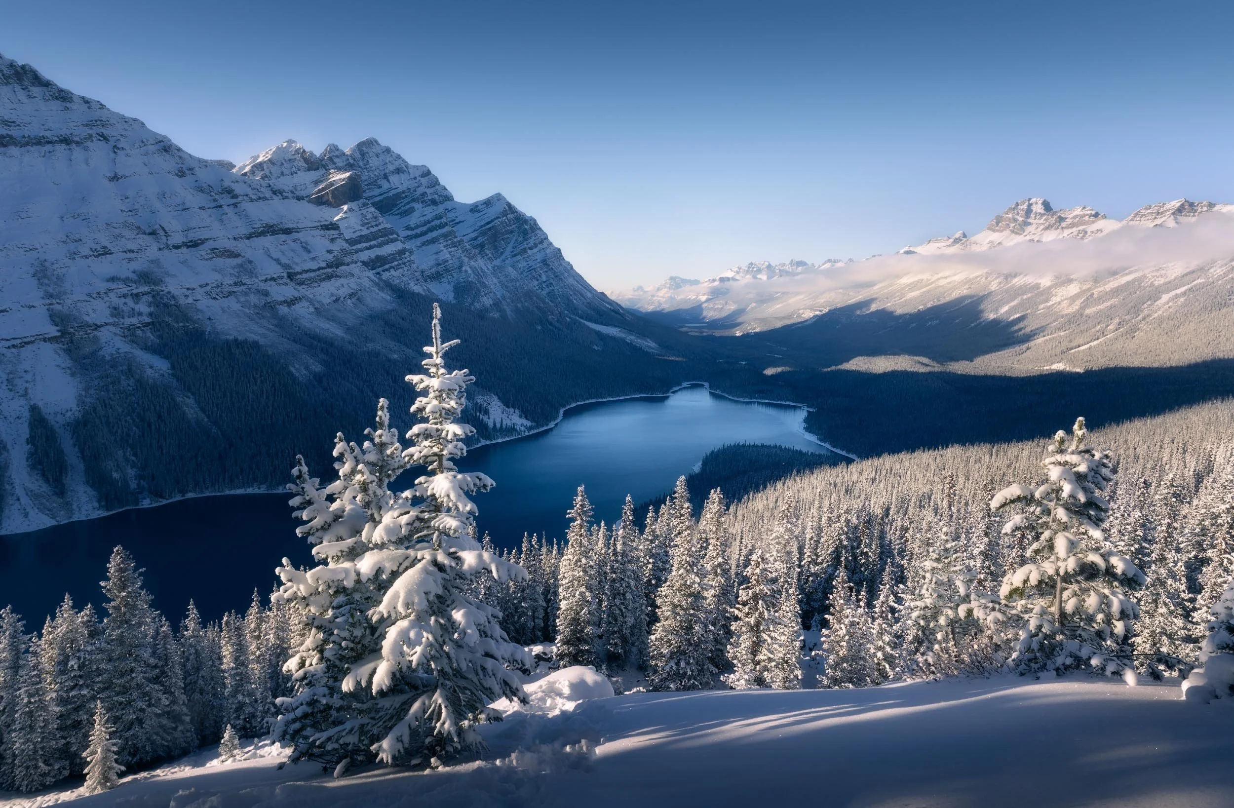 Snow-covered trees in a mountainous landscape with a large lake below and snow-capped peaks in the background under a clear blue sky.