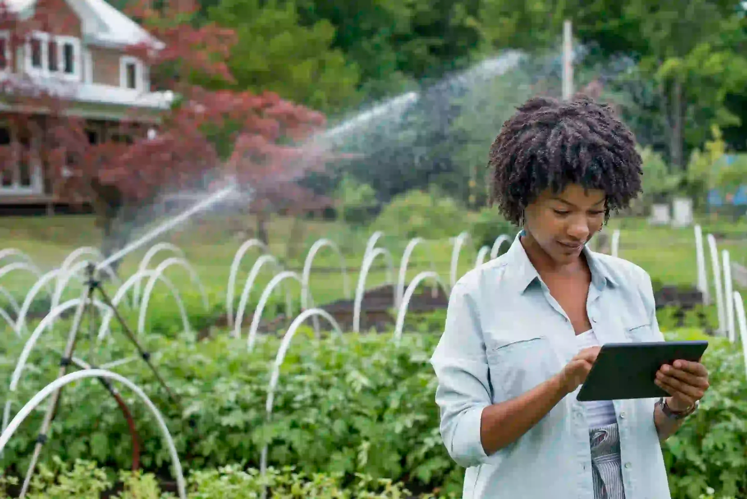Water-Saving Gadgets Every Homeowner Should Own