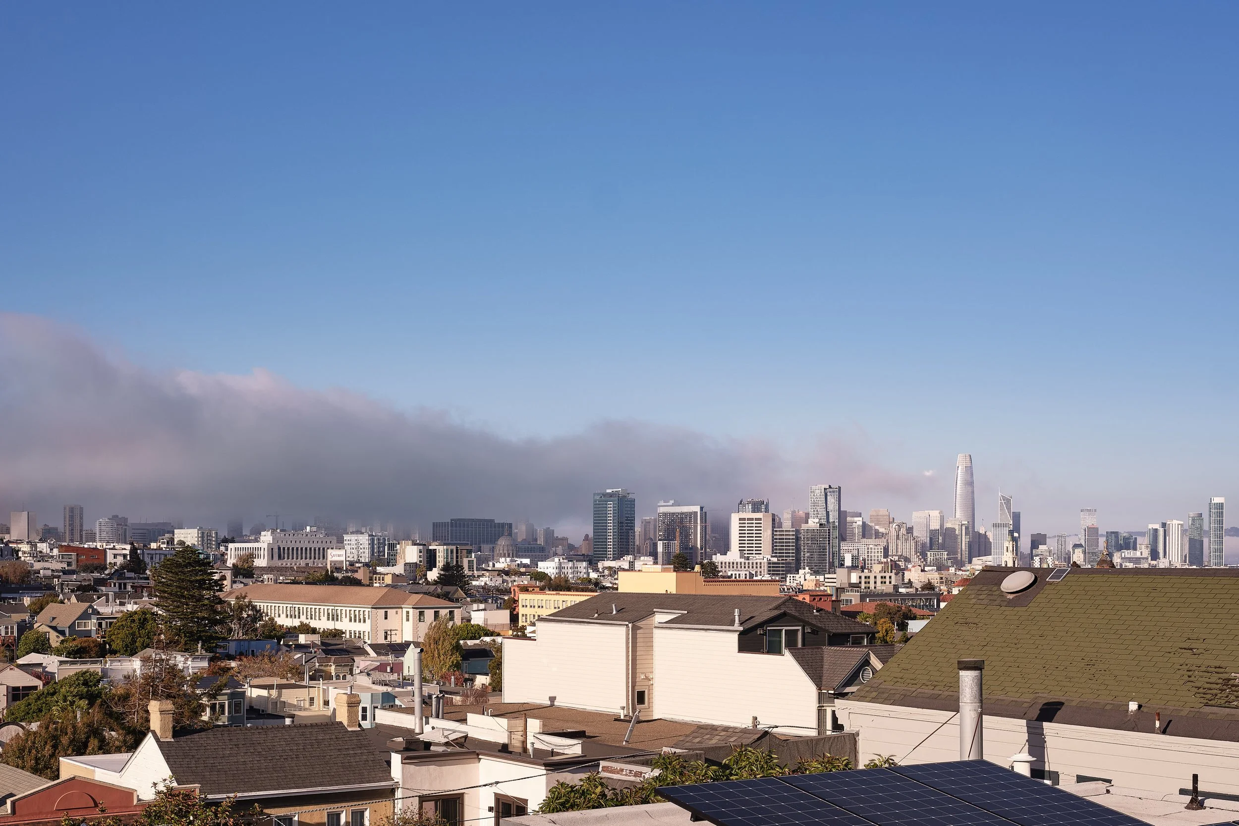 571Noe_80583.jpg