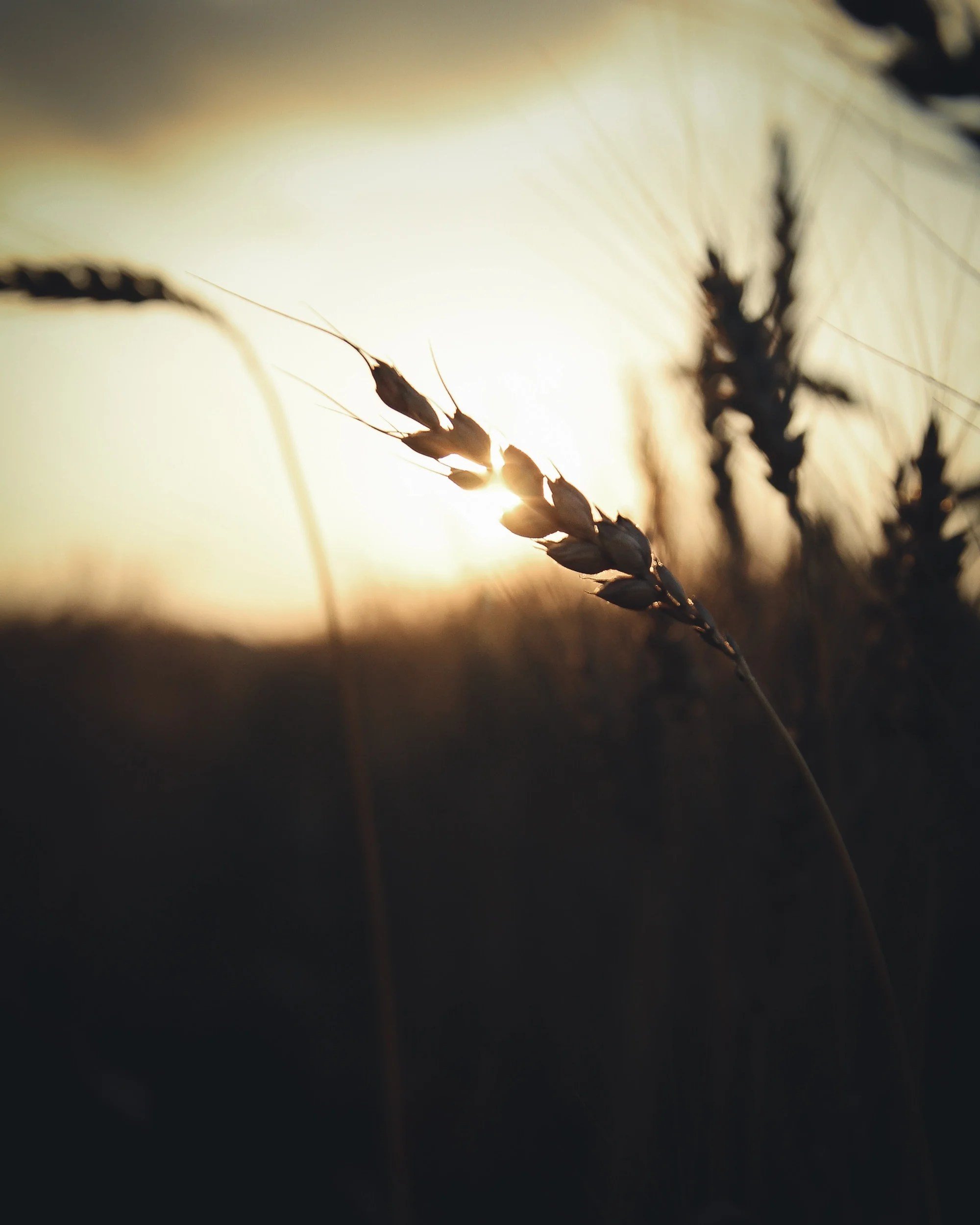 Small Moments of Grace