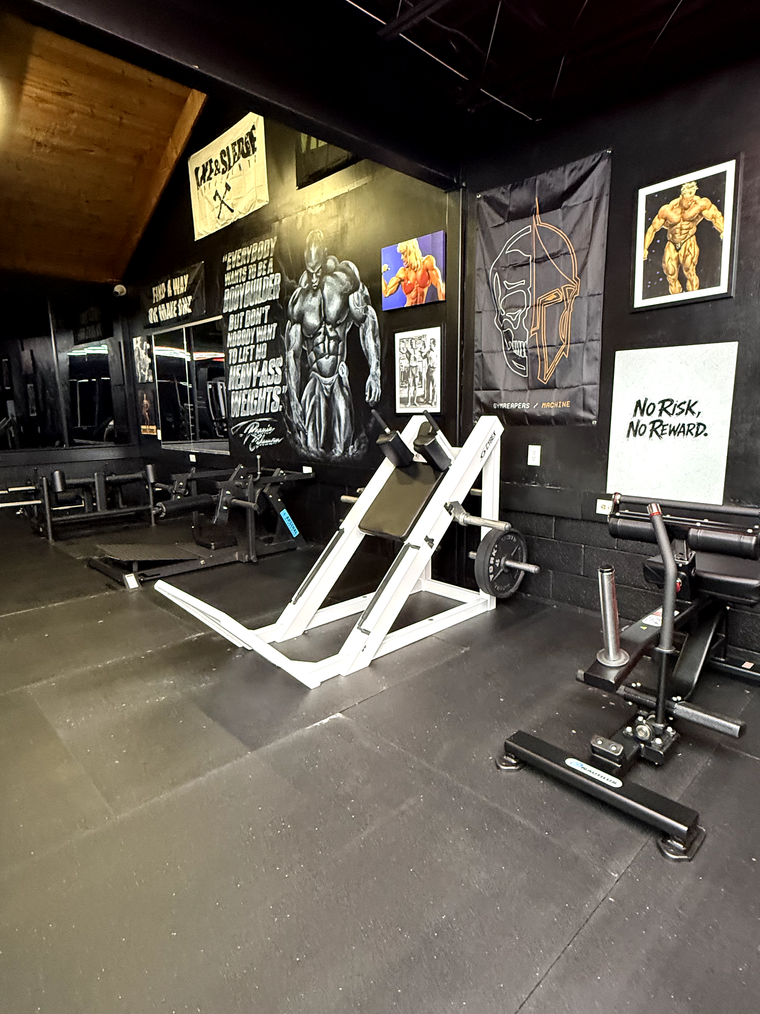 An interior view of a gym with black walls decorated with motivational posters and artwork, including a muscular figure, a skull, and a quote that says 'No risk, No reward.' The gym equipment includes a weight machine, dumbbells, and benches arranged along the wall, with flooring made of black rubber mats.
