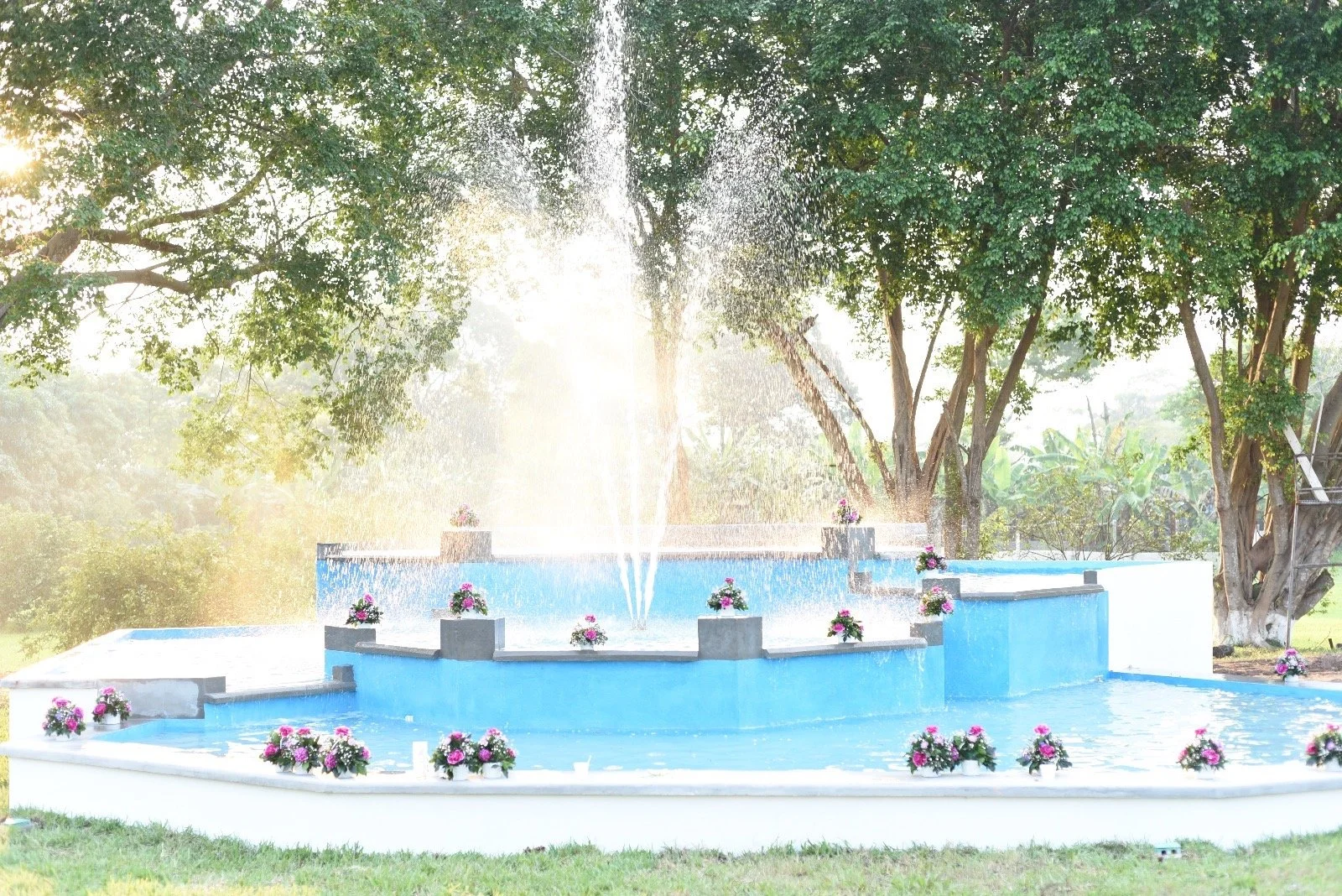 Fuente de agua azul decorada con flores en un parque con árboles y luz solar