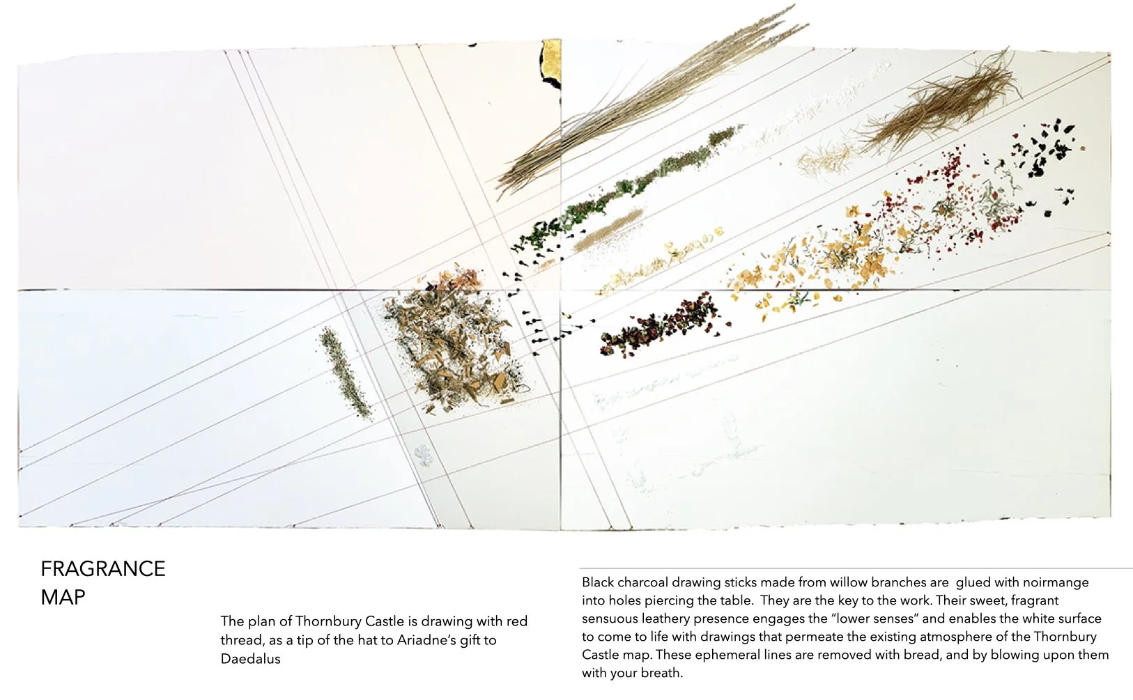 PLATE 2.60: Fragrance Map ingredients. Materials set in areas defined by threads delineate the zones of fragrance at Thornbury Castle. Threads are attached to brass nails at the edges of the ancone, making reference to the action used by scribes who 
