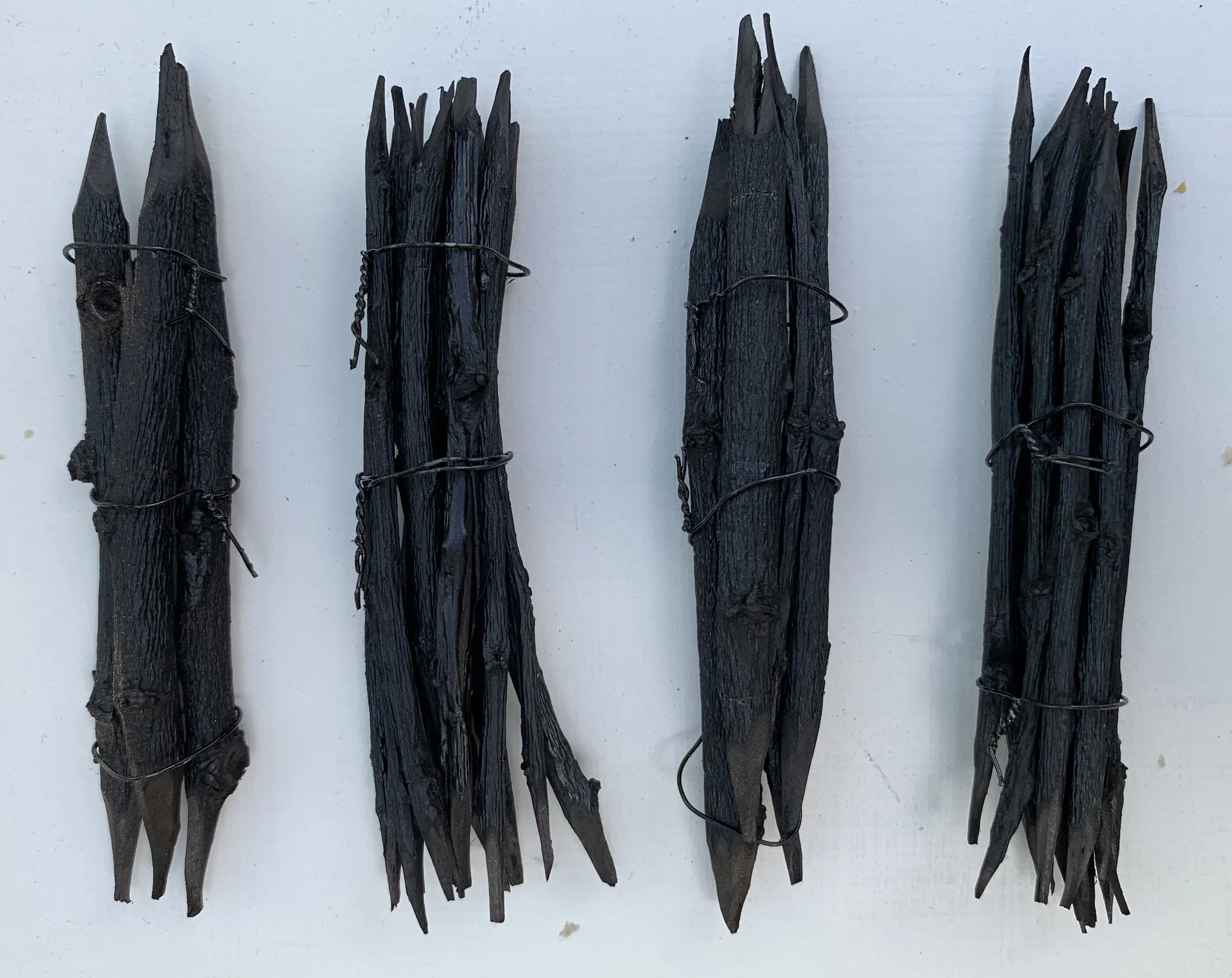 PLATE 2.38: Noirmange centers: charred willow twigs used for drawing, made by the author following Cennini Cennini’s recipe. 2” long.