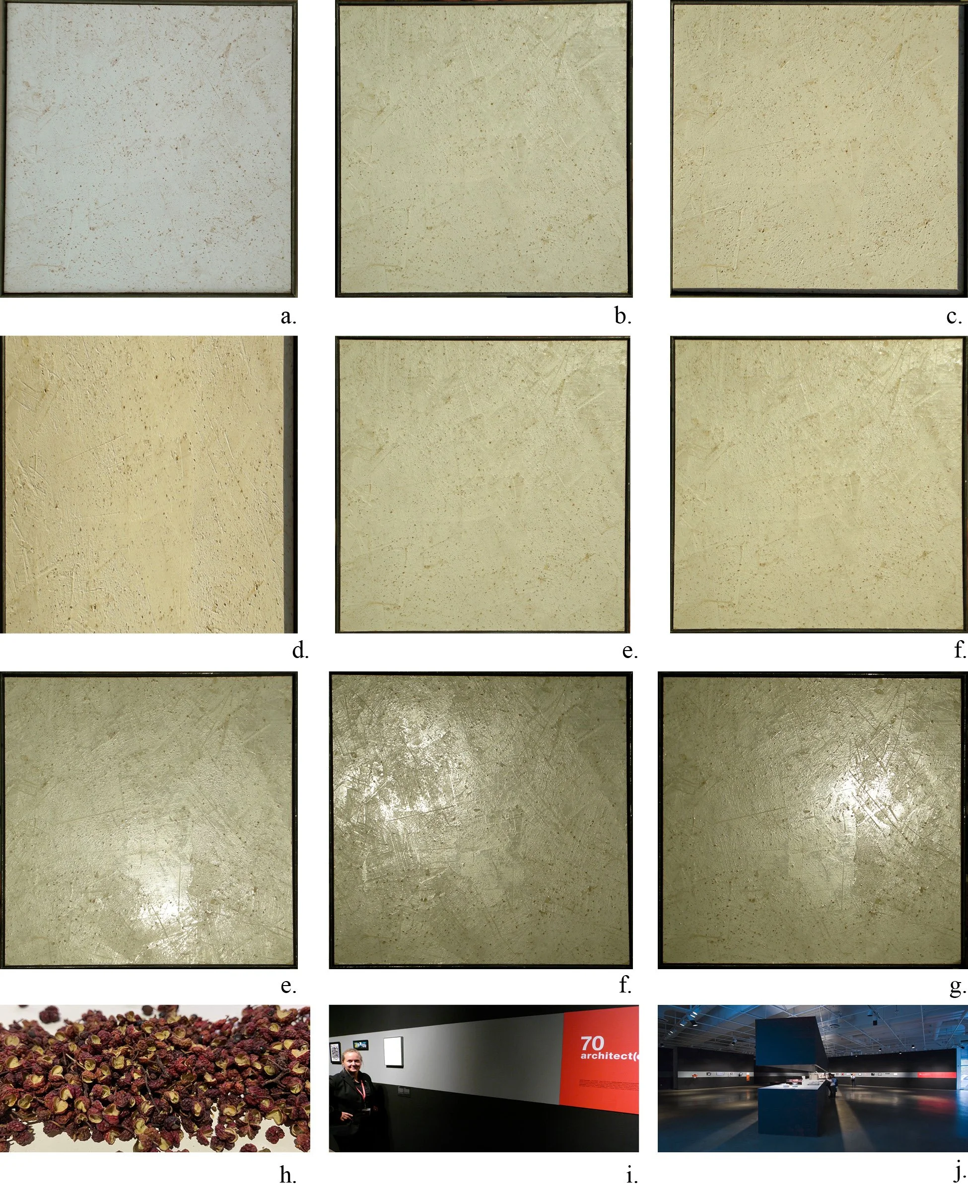 PLATE 2.12: Pepper house wall. Fragrant lime plaster wall based on traditional Sichuan wall. Nine different lighting conditions a) through g) conditions of same wall, h) Sichuan peppers, i) and j) author and work at exhibition at Centre de Design de 