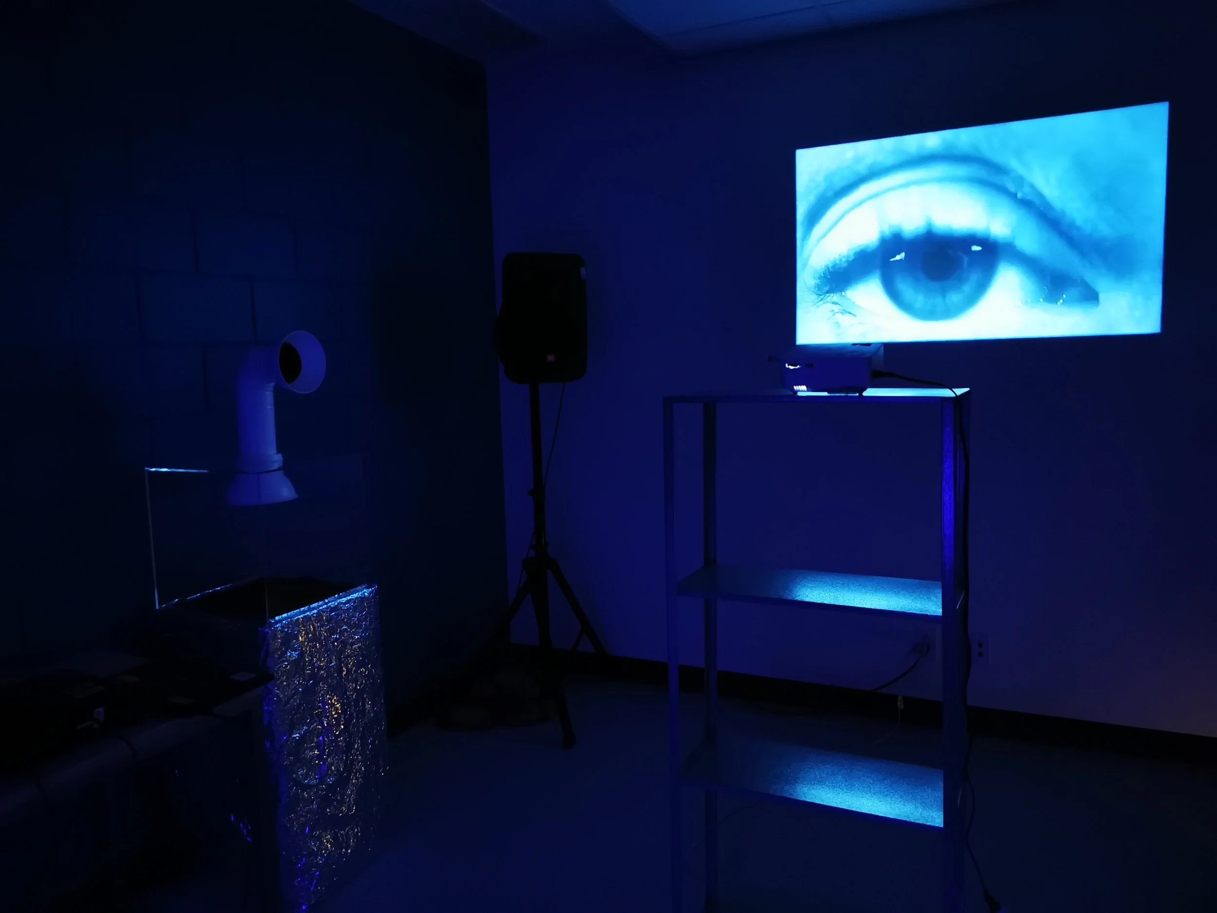 Appendix 3.4: ETHER Video Projections