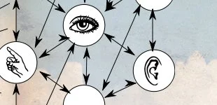 Research Directory