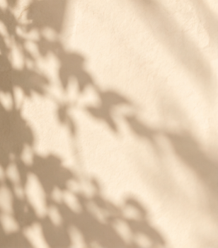 Shadow of leaves on a light-colored fabric surface.