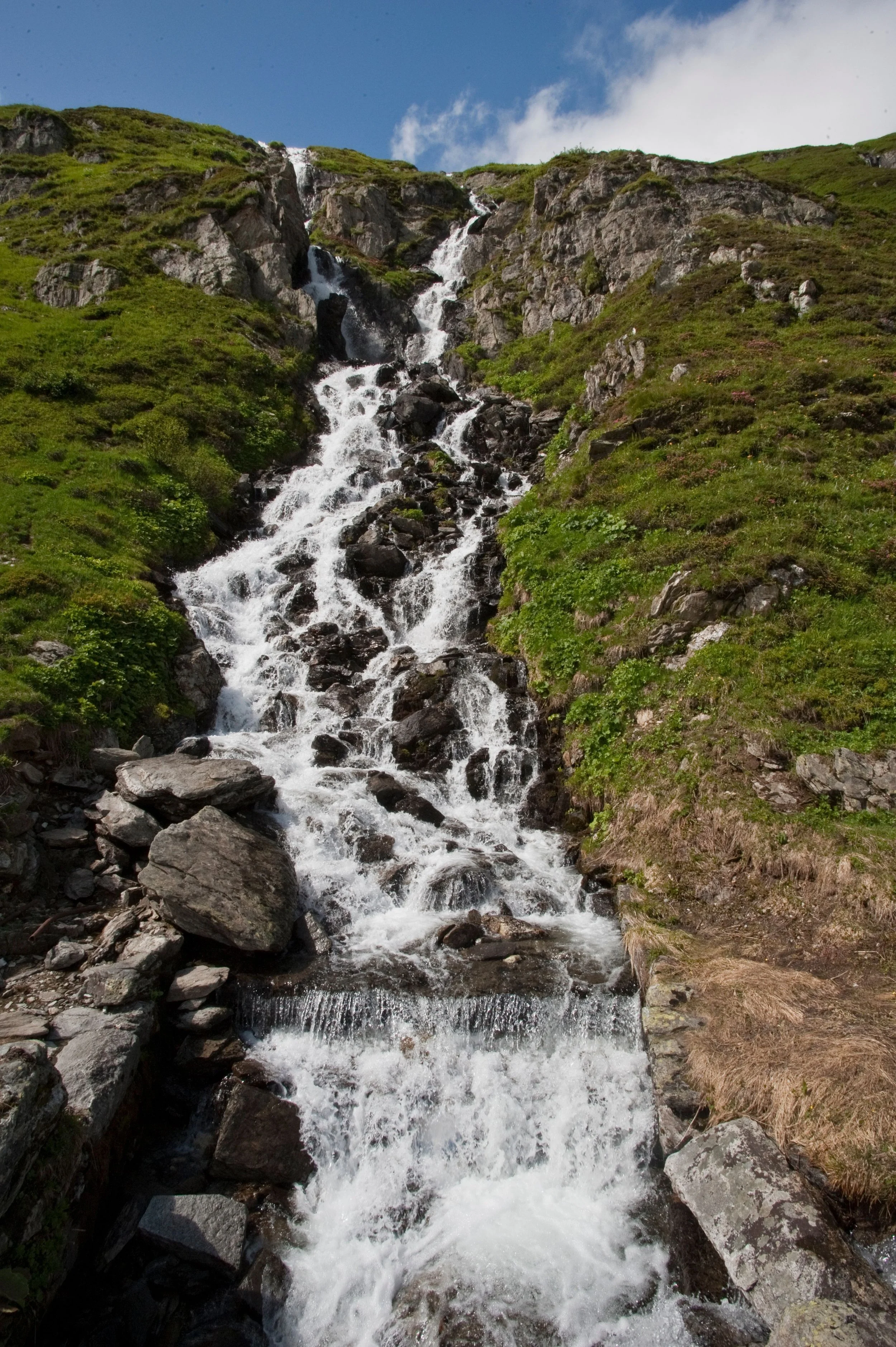 A mountain stream cascading down rocks surrounded by green grassy slopes under a partly cloudy blue sky.