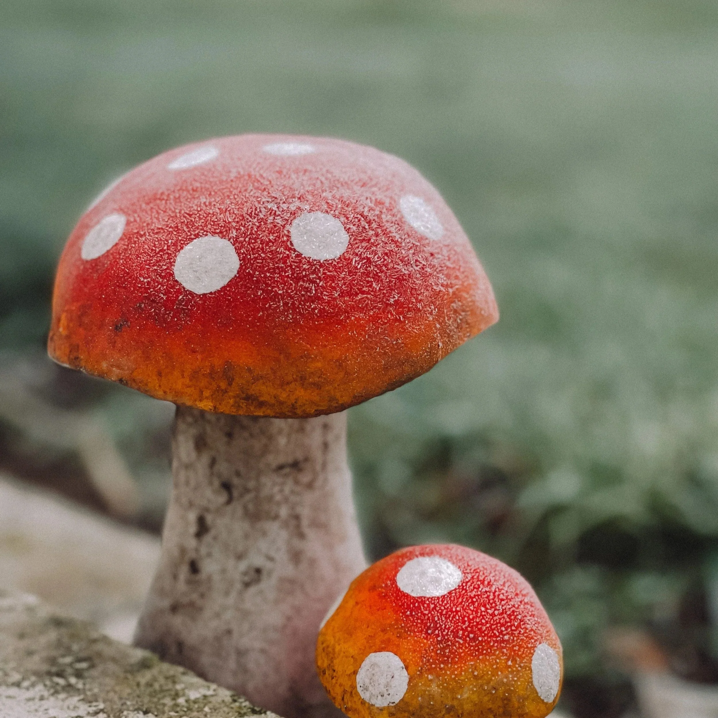 Close-up of colorful mushrooms with white spots on red and orange caps, growing on soil.