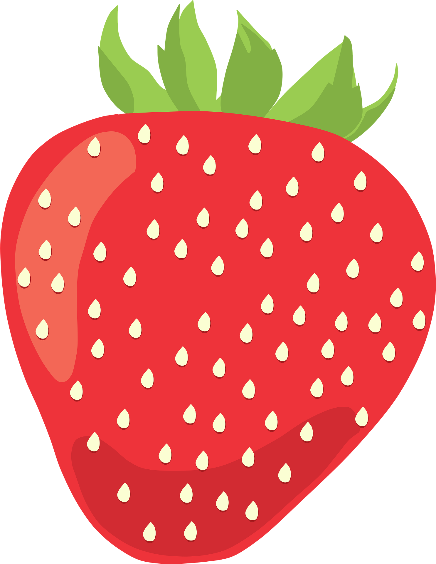 Illustration of a large red strawberry with green leaves at the top, and white seeds on its surface.