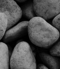 Several smooth, rounded stones in shades of gray and black.