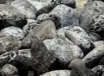 A pile of large, gray rocks or stones.