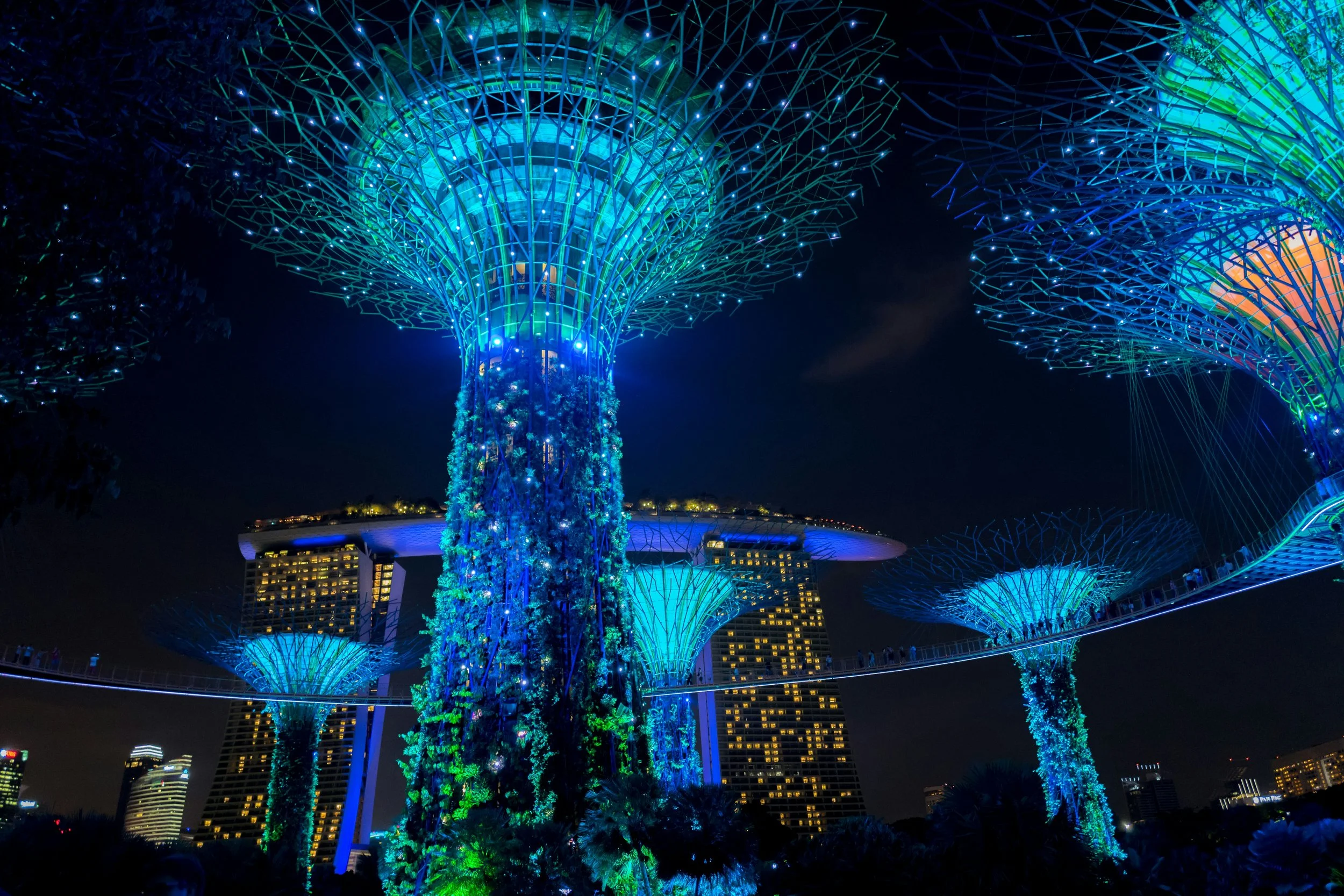 Night view of futuristic, illuminated, tree-like structures with blue and green lights at Gardens by the Bay in Singapore, with modern buildings in the background.