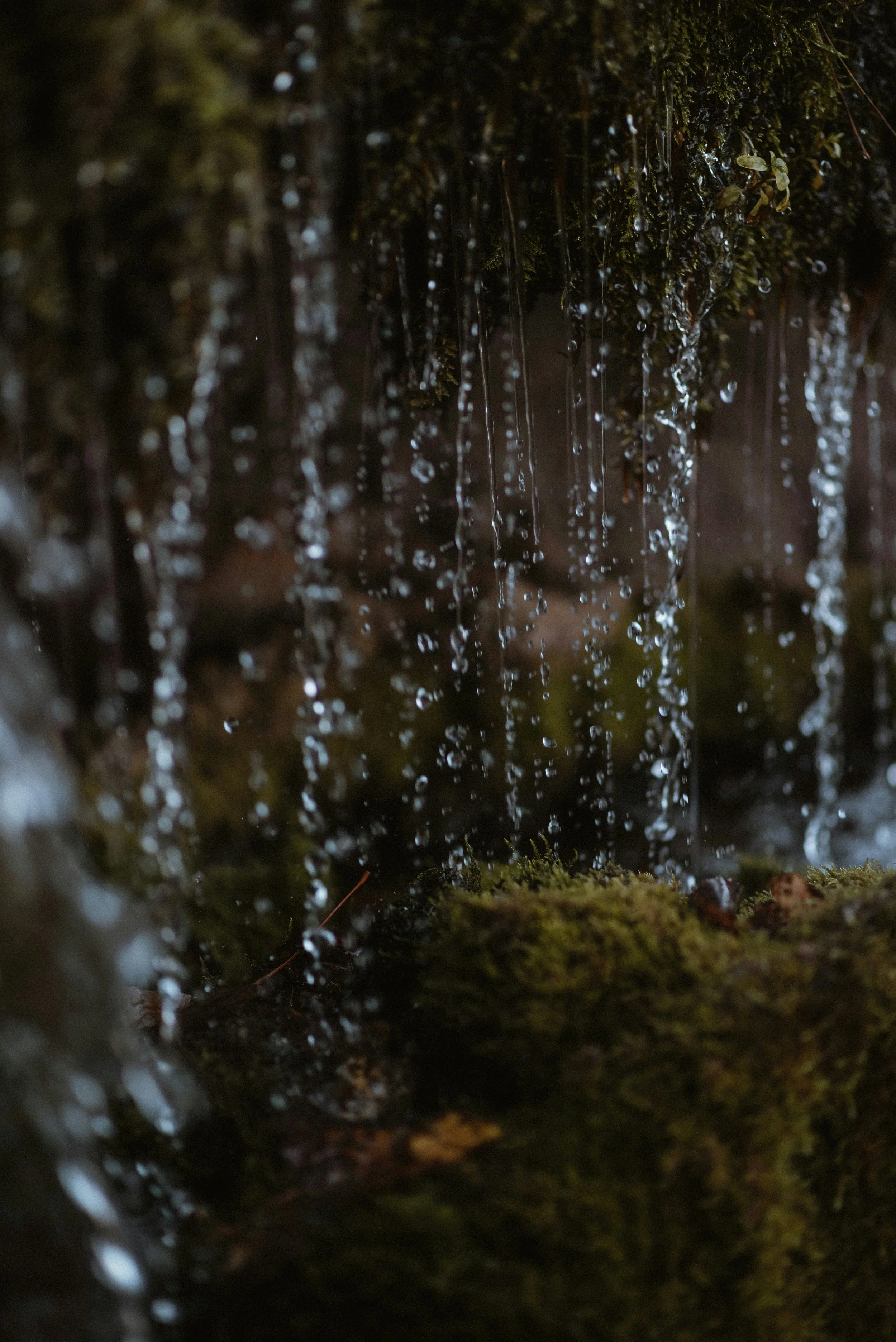 Close-up of mossy rocks with water trickling down, surrounded by blurred forest background.