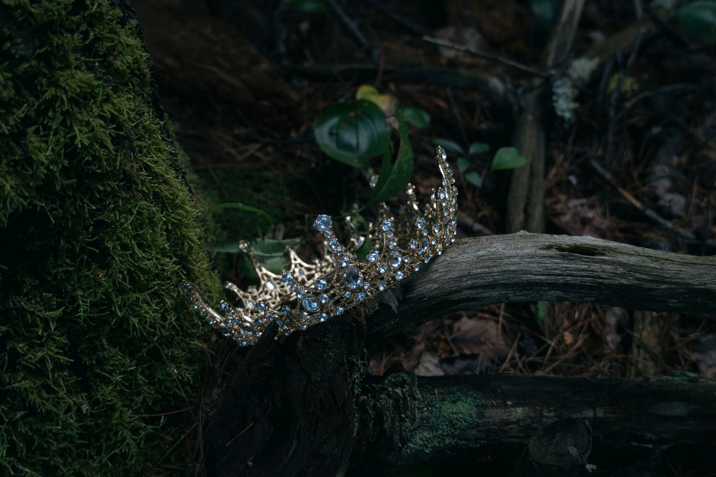 A sparkling silver tiara decorated with clear gemstones resting on a fallen tree branch in a dark forest setting surrounded by moss and small green plants.