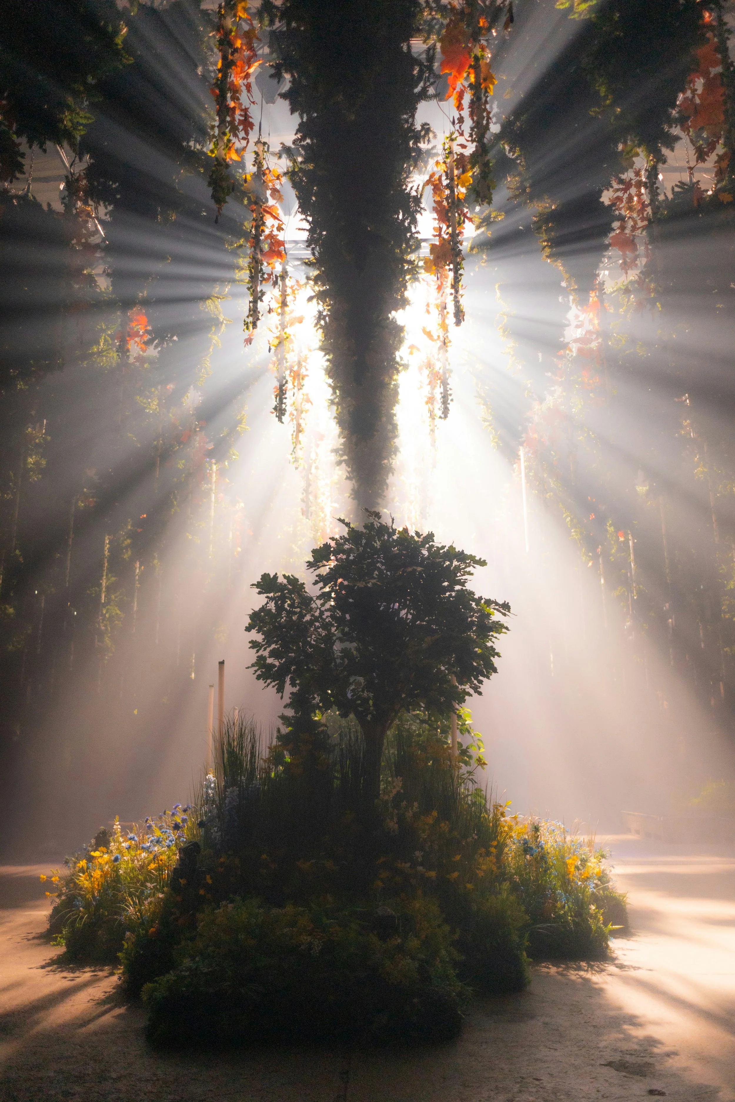Sun rays shining through a hanging plant with autumn-colored leaves, illuminating a small garden with flowers and a tree under a glowing sky.