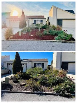 Side-by-side photos of front yard landscaping before and after renovation showing updated plants and garden bed with mulch.