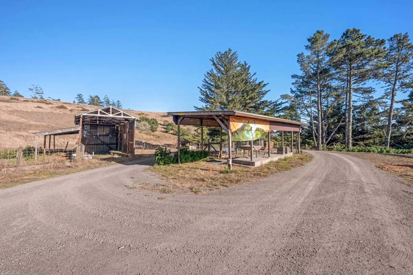 Rural outdoor scene with a gravel driveway, wooden structures, and tall trees under a clear blue sky.