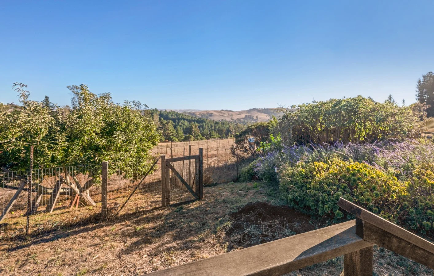 A rural backyard with a wooden fence, a small garden gate, and a variety of lush green plants and bushes, overlooking rolling hills and a clear blue sky.