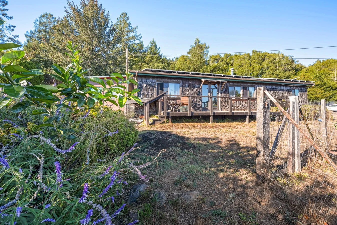 A rustic wooden house with a deck in a garden, surrounded by trees and plants with purple flowers, fence on the right side, and a clear blue sky.